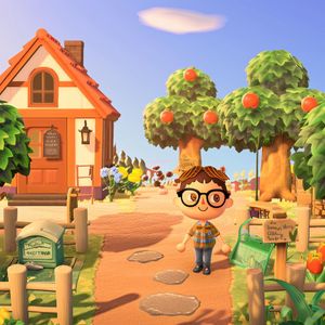 A Player on Animal Crossing: New Horizons Creates an Incredible Vineyard on Their Island