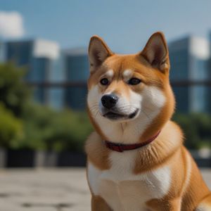 Shiba Inu rises from Binance’s innovation zone to fully supported asset