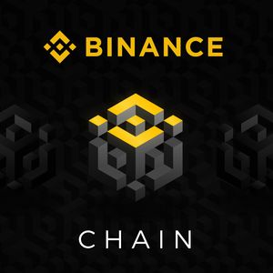 BNB chain sees success with revenue up by 70%,  MVP is one of the superstars