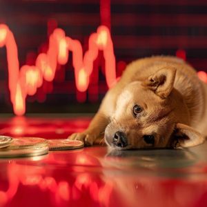 Why is the Dogecoin price down today?