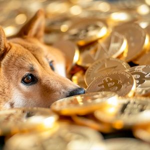 The Complete Guide to Crypto Memes: Understanding Meme Coins