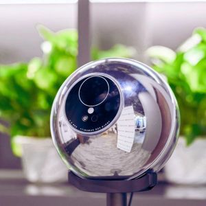 Worldcoin Project Ordered to Stop Operations in Hong Kong