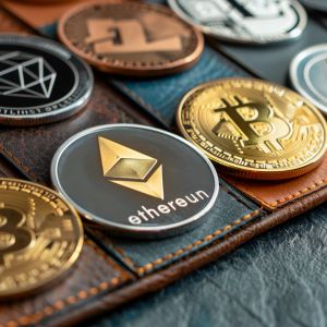 What Is a Crypto Wallet? The Ultimate Guide for 2024