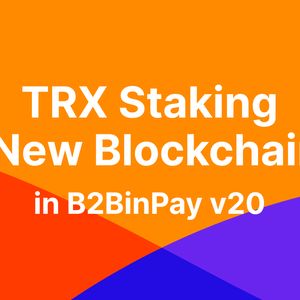 B2BinPay Streamlines Earnings and Expands Your Blockchain Universe