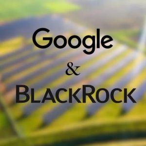 Google partners with BlackRock-backed solar developer in Taiwan amid AI boom
