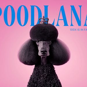 Welcome to Poodlana: The Hot Meme Coin With a Fashion Twist