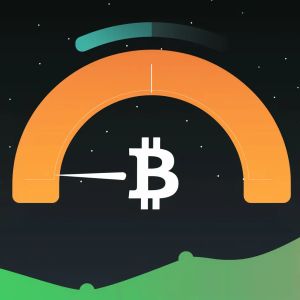 The Bitcoin Fear and Greed Index plunges to its lowest since early 2023