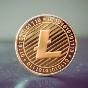 Why the Litecoin (LTC) price remains stagnant despite wide use