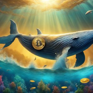 Bitcoin whales and sharks are buying as small traders panic-sell