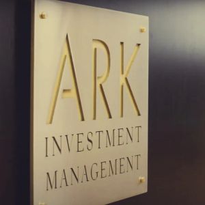 Ark Invest says Bitcoin is oversold after the German government sell-off