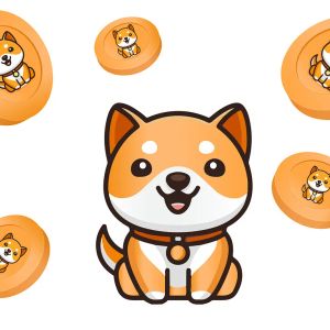 The second coming of Shiba Inu Coin? Shiba Shootout raises $700,000, 3 days left until next stage