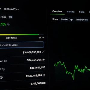 TON may be overbought based on value per user metric