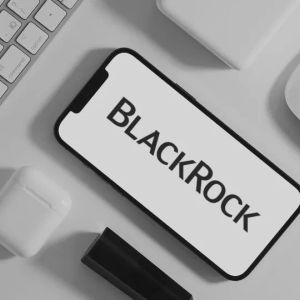 No BlackRock Solana ETF plans in the near future, executives confirm