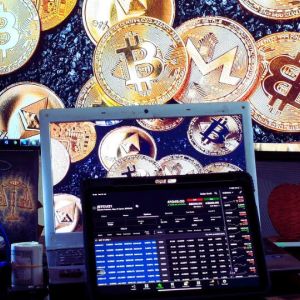 Crypto market returns to fundamentals as new fundraising slows down