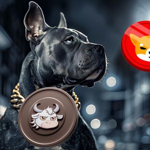 Shiba Inu’s Burn Rate Surge Isn’t Enough To Increase Its Price, Experts Suggest The New Crypto MoonTaurus With Limited Supply