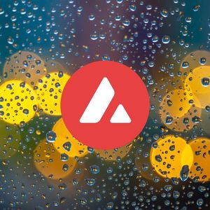California DMV’s Avalanche blockchain adoption is a big win for crypto