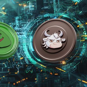 Top 2 Tokens To Pump During The 2024 Bull run