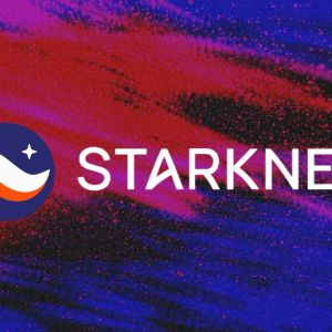 Starknet CEO, Diego Olivia resigns