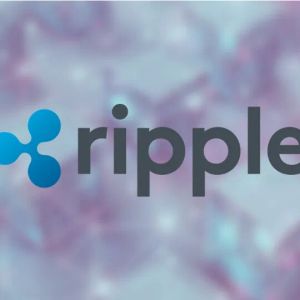 XRP whales holdings hit ATH amid Ripple’s win over SEC