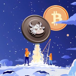 Bitcoin Rebounds to $55K After Crash, Investors Holding This New Coin for 2024 Profits