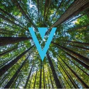 XVG Price Prediction 2023-2032: Is Verge a Good Investment?