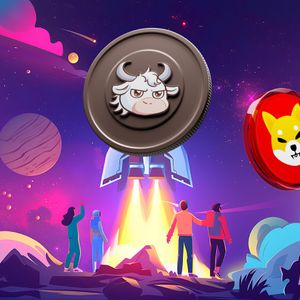 Shiba Inu (SHIB) Drops 15% This Month as Investors Turn to MoonTaurus (MNTR) with 1300% Growth Potential