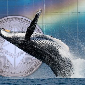 Ethereum ICO whale becomes a market factor