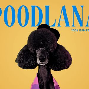 Final Day: Asian Viral Sensation Poodlana Ends $6.6m Presale