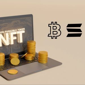 NFT traders concentrate on Solana, Ethereum, and Bitcoin