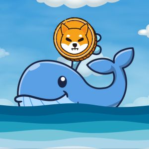 Shiba Inu whale accumulates over 397.8 SHIB amid market volatility