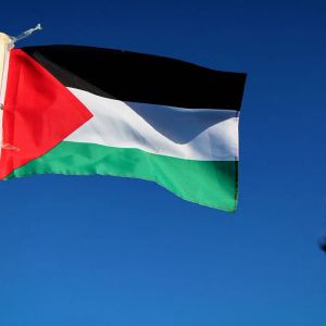 Palestine could join the BRICS next year