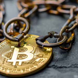 Bitcoin’s tumble below $50k was due to overreaction from short-term holders