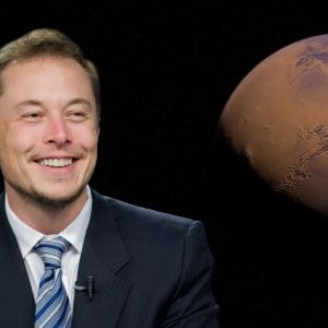 Elon Musk, DogeDesigner criticize traditional media amid X’s ad struggles