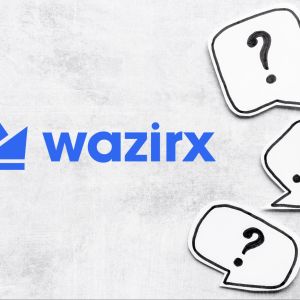 Crypto exchange WazirX suspends all open orders, sparking community concerns