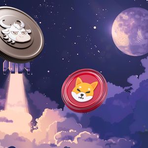 Viral “Shiba Inu Killer” Meme Coin Named Cryptocurrency of the Month, Fat Whales Show Interest