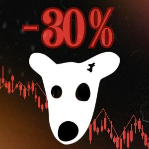 DOGS price down 30% after one day of trading