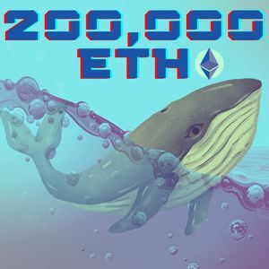 Ethereum whales accumulate over 200,000 ETH. Is this the bottom?