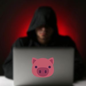 Cybercriminals now favor pig-butchering scams over ponzi schemes