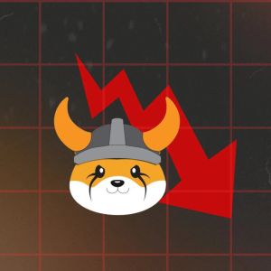 Floki drops 18%, this might be the reason