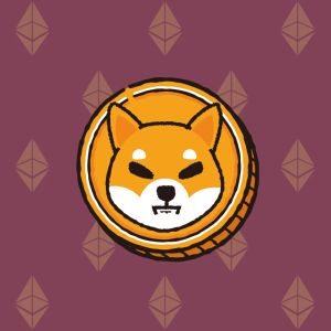 Shiba Inu community is divided over 37.5 ETH allocation