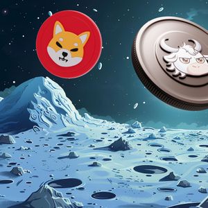 Shiba Inu Whale Who Cashed Out Near All-Time Highs Now Aggressively Accumulating This New Meme Coin — What Does He Know?