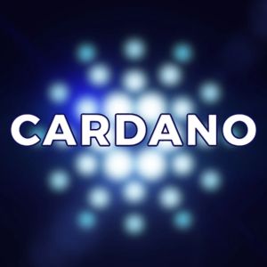 Cardano smart contract transactions expanded by 30% in August