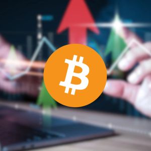 Bitcoin still tracks equities, while altcoins steal the show