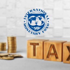 MENA Bitcoin analysts weigh in on IMF crypto taxation solution