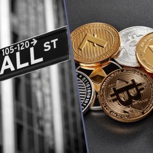 Wall Street’s bold crypto foray faces 10x custody costs but offers diversification