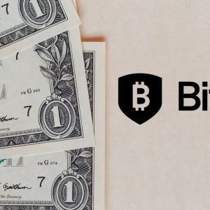 BitGo to unveil its reward-earning USDS stablecoin in Q1 of 2025