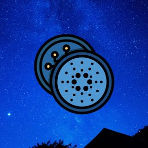 Midnight’s privacy chain launch could jump start Cardano adoption, insiders predict