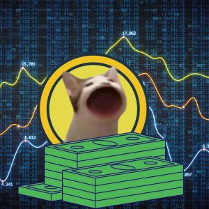 Whale trades spark Popcat rally, token breaks into top 100 gainers list