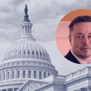 America will fall to tyranny if Donald Trump is not elected POTUS – Elon Musk