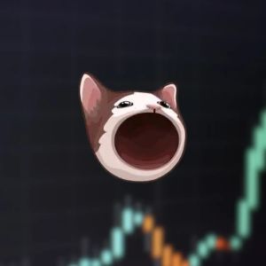 Solana Meme Coin POPCAT hits the $1 billion market cap